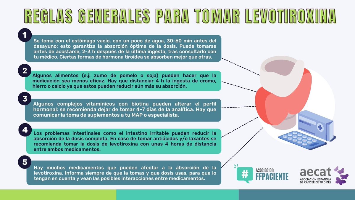 ffpaciente's tweet photo. Hoy #DiaMundialDeLaTiroides 🦋

🗣️ Aprovechando el Día Mundial del Tiroides, desde la Asociación FFPaciente hemos elaborado una infografía muy útil en colaboración con AECAT @aecat_es 💜

🧵 1/2

#FFpaciente #Tiroides https://t.co/sKuU4uT9gA