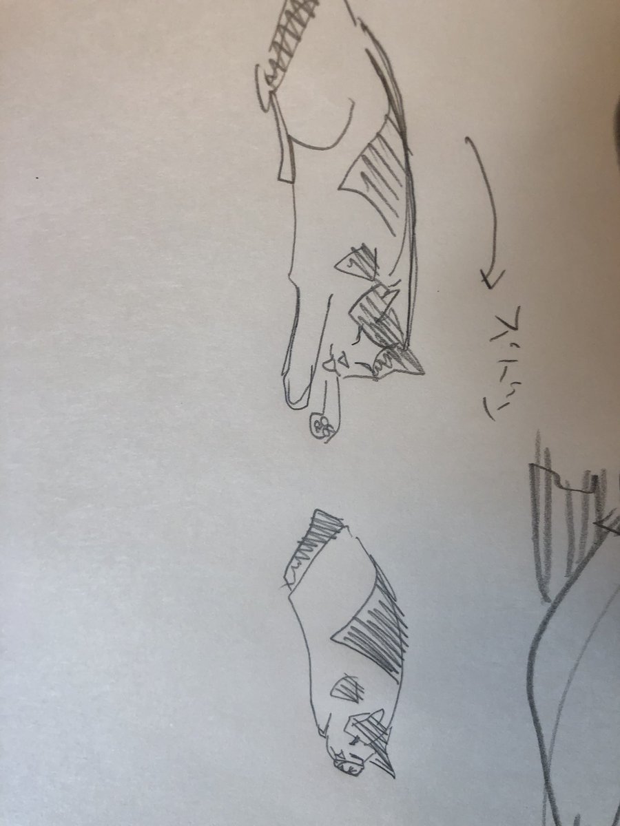 ズドンのハチベーでも見ていって…