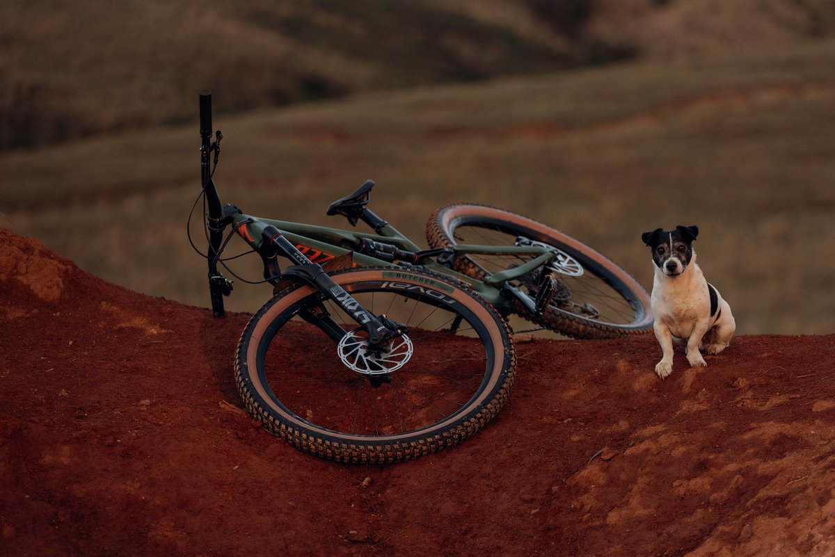 songo.info (@songoinfo) on Twitter photo The <a href="/SpecializedZA/">SpecializedZA</a> Stumpjumper EVO is an incredibly capable machine. And now you could have a Limited-Edition model and support songo.info. Bid on this amazing bike here: songo.info/product/specia… The <a href="/SpecializedZA/">SpecializedZA</a> Stumpjumper EVO is an incredibly capable machine. And now you could have a Limited-Edition model and support songo.info. Bid on this amazing bike here: songo.info/product/specia…