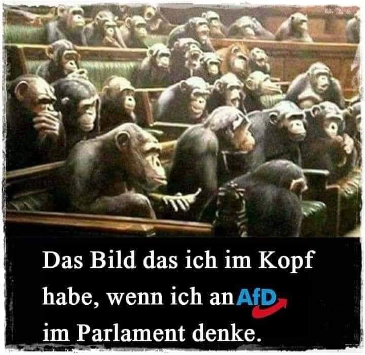 Haben Sie einen angenehmen Morgen...

#noafd #fckafd #NazisRaus #AfDmachtDumm #stopptdieAfd #AfDVerbotSofort