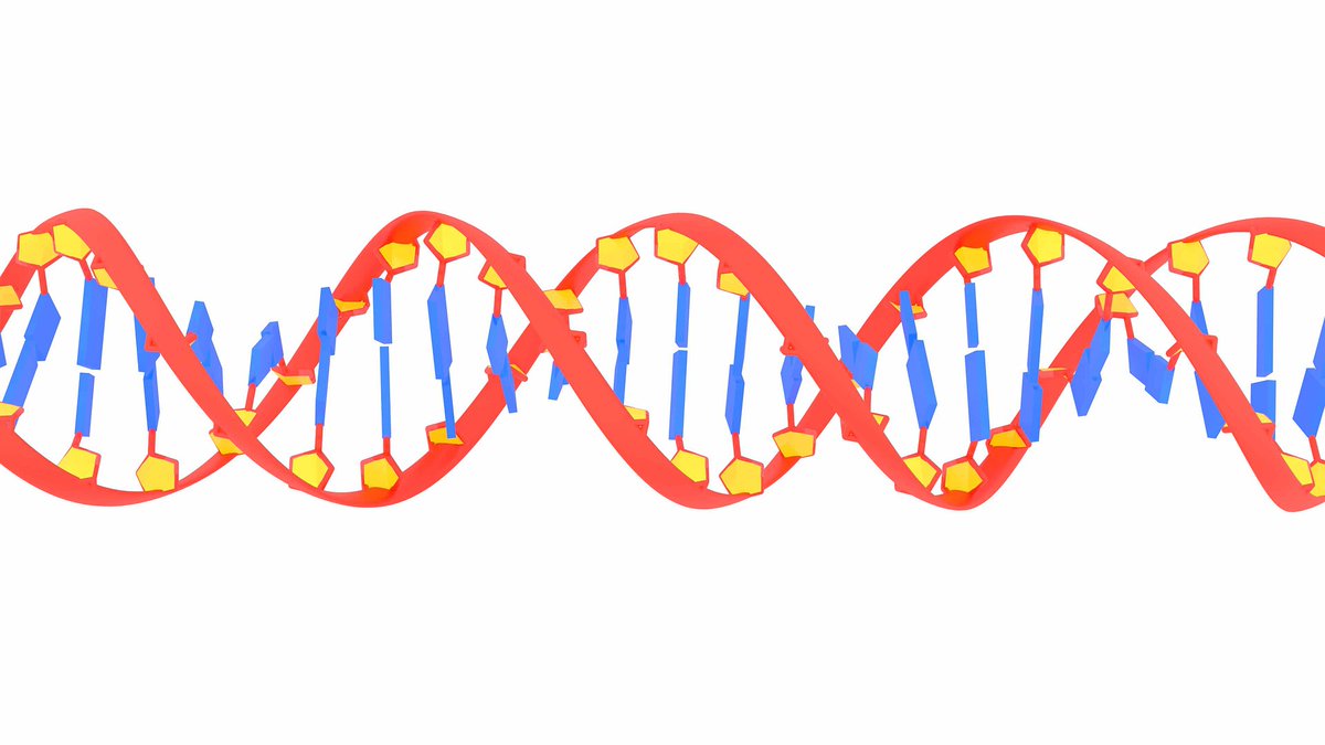 We’re recruiting for a Healthcare Science Practitioner (Band 4)🧑‍🔬
Want to join our busy Genomic Laboratory 🧪in Cambridge?
For more about this exciting opportunity see bit.ly/41WEA9T
🕛Deadline for applications is midnight, Sunday 11 June.
#Genomics #research #Careers