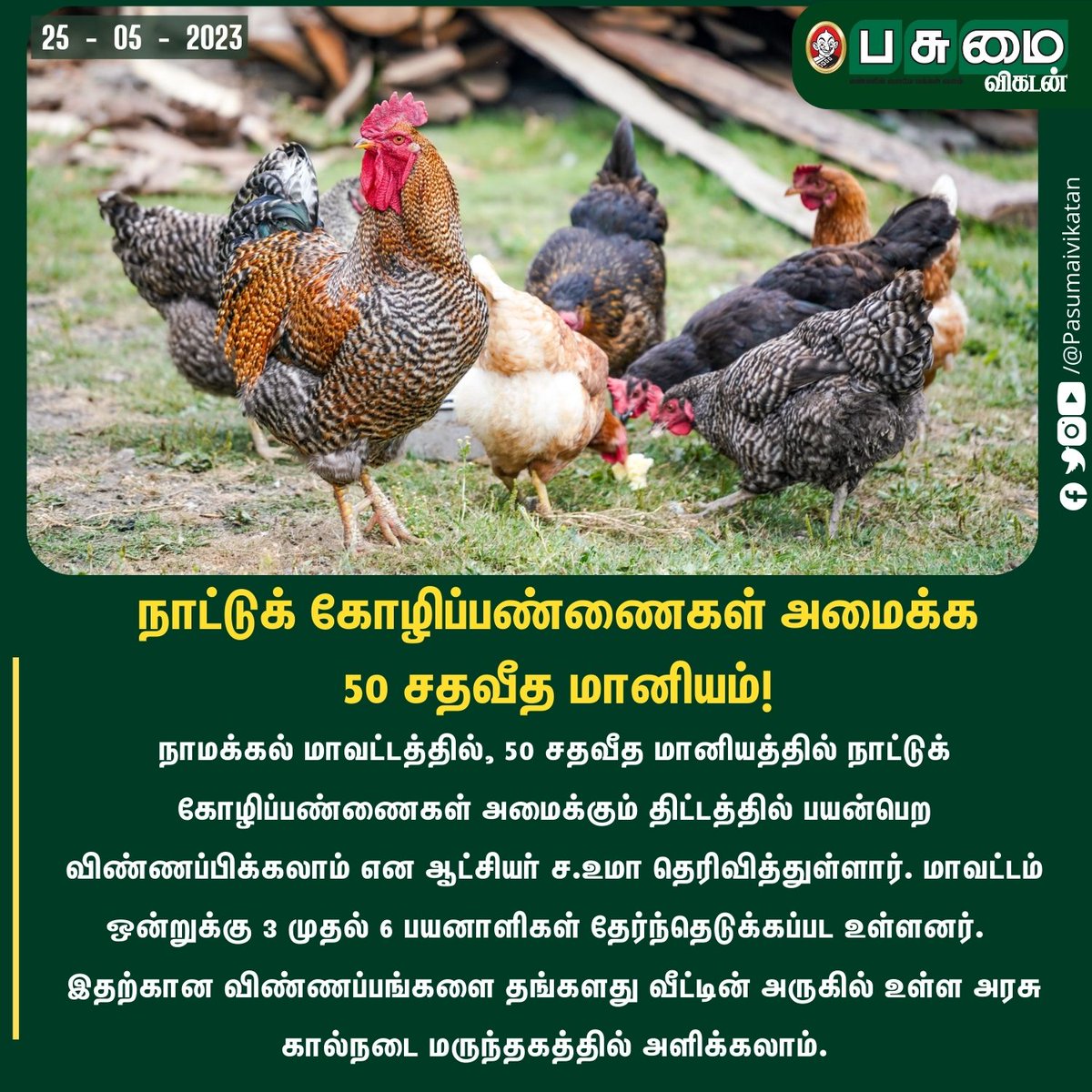 நாட்டுக் கோழிப்பண்ணைகள் அமைக்க 50 சதவீத மானியம்!

#Hens #Chicken #countrychicken #Government