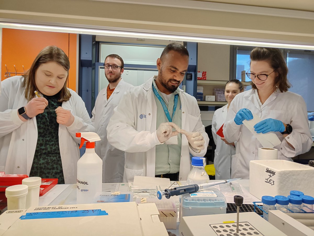 AgneseLaMensa's tweet image. @MyeInfoBank WG2 #macrophages  reunited in a STSM to optimise a #IHC staining for macrophages #biomarkers hosted by @Innate_IGTP. Exciting and instructive 4days experience, under the guidance of @TonyPau05321718 at the bench. Interesting symposium organised by Dr MariaRosaSarrias