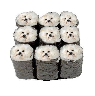 My Therapist;Woey SushirollS aren't Real They CannotHurt U

TheWoeyShushi rolleds: