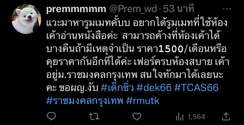 Prem_wd's tweet photo. #เด็กซิ่ว #dek66 #dek67 #ราชมงคลกรุงเทพ #rmutk https://t.co/1Ph7rOP51A