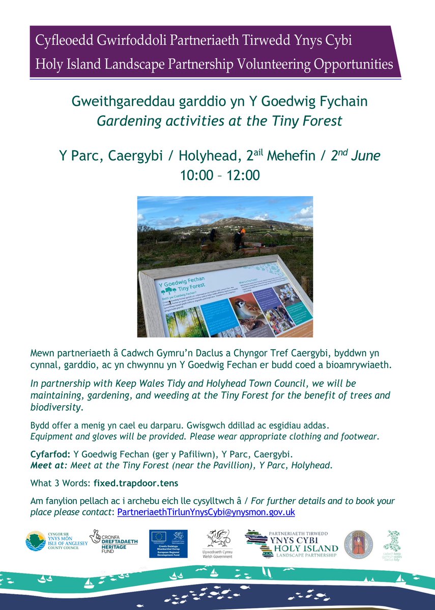 Volunteering is a chance to meet new people, improve your health and well-being while giving back to your community. Come join us at the Tiny Forest to help with this fantastic @Keep_Wales_Tidy project.
@angleseycouncil @HeritageFundUK @Talkholyhead @TownHolyhead @HHMaritime