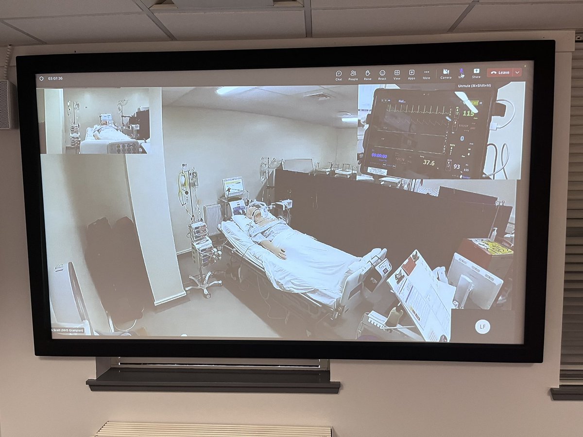 lynsey brander tweet media