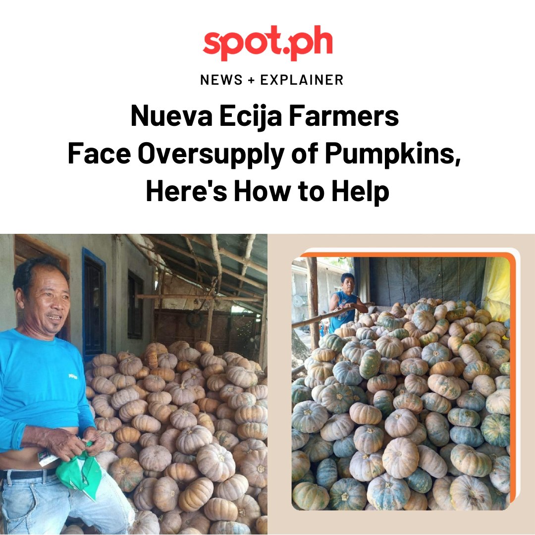 Spotdotph's tweet photo. His plea? Please buy his pumpkins before the rain comes. https://t.co/qYXKXkF6SY https://t.co/7nOcAPgd1u
