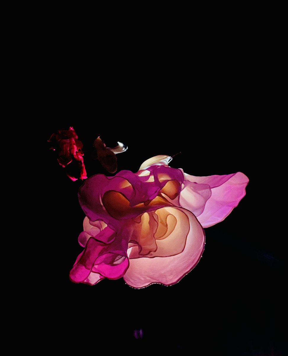 Incidentally Bentley tweet media