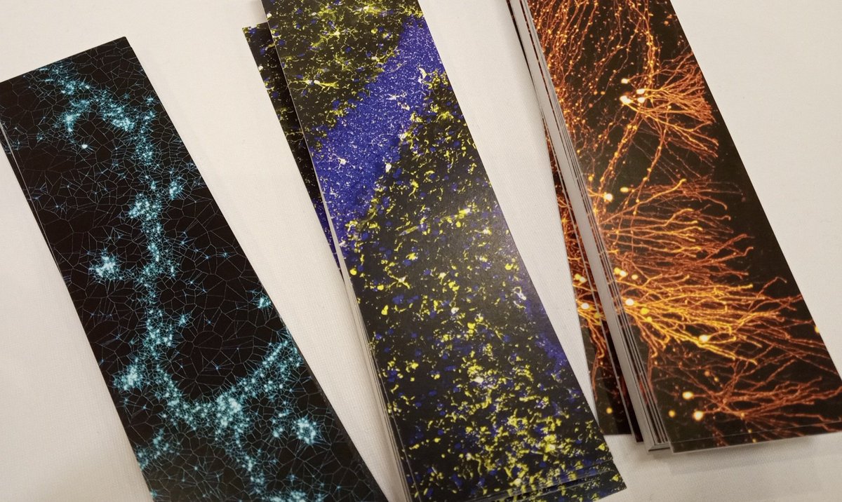 Neuro_Bordeaux's tweet photo. You don't have our bookmarks? Come on Booth 11!
#NeuroFrance2023 https://t.co/xawepb3Ydf