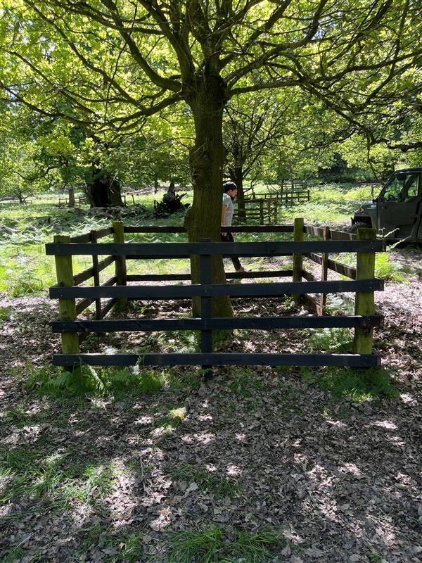 Franklin Ellis Architects tweet media