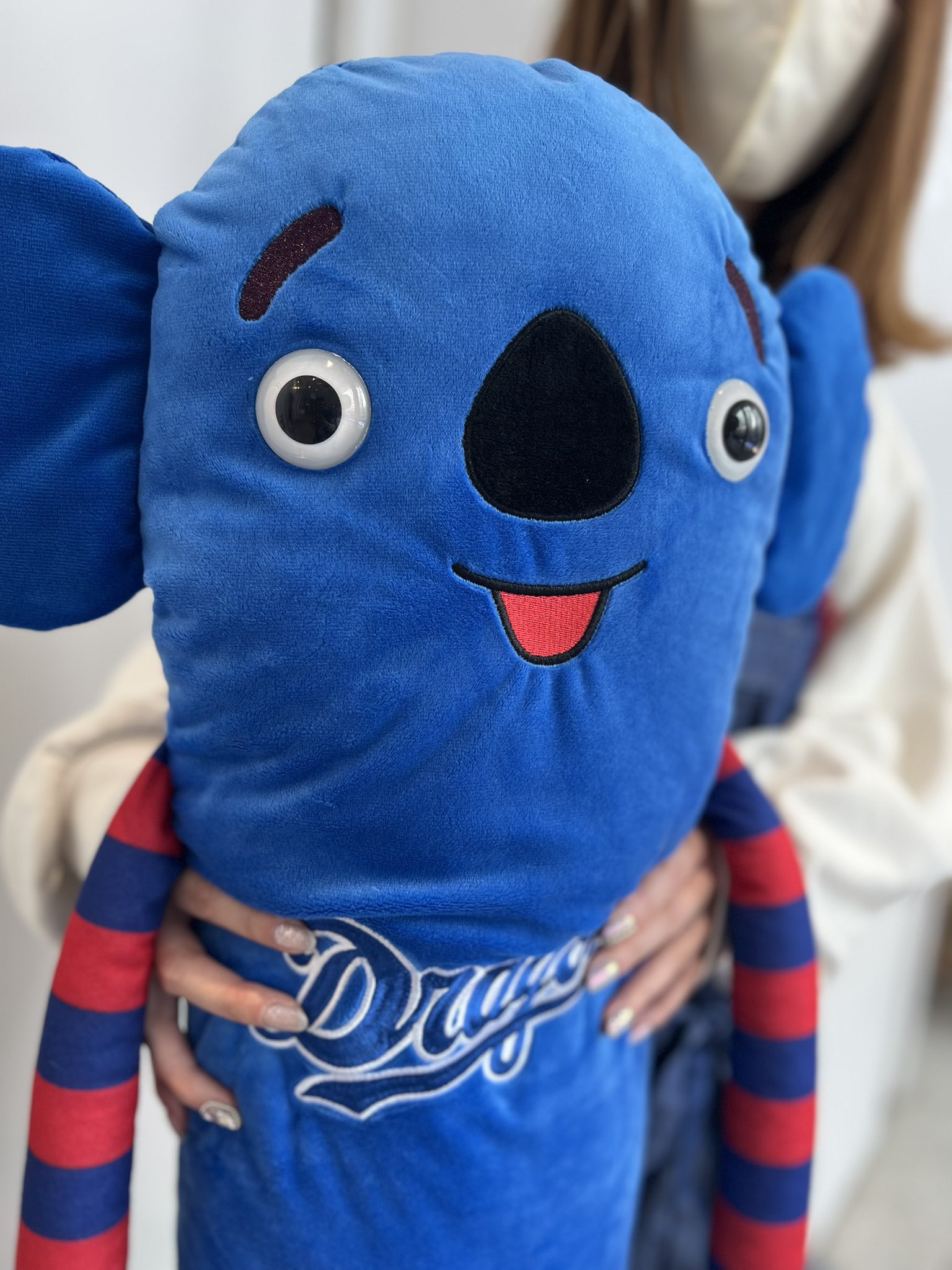 大人気商品!!中日ドラゴンズ×デラックスモケケ ご当地モケケ BIG でらっくすモケケ中日ドラゴンズ | 中日ドラゴンズオフィシャル