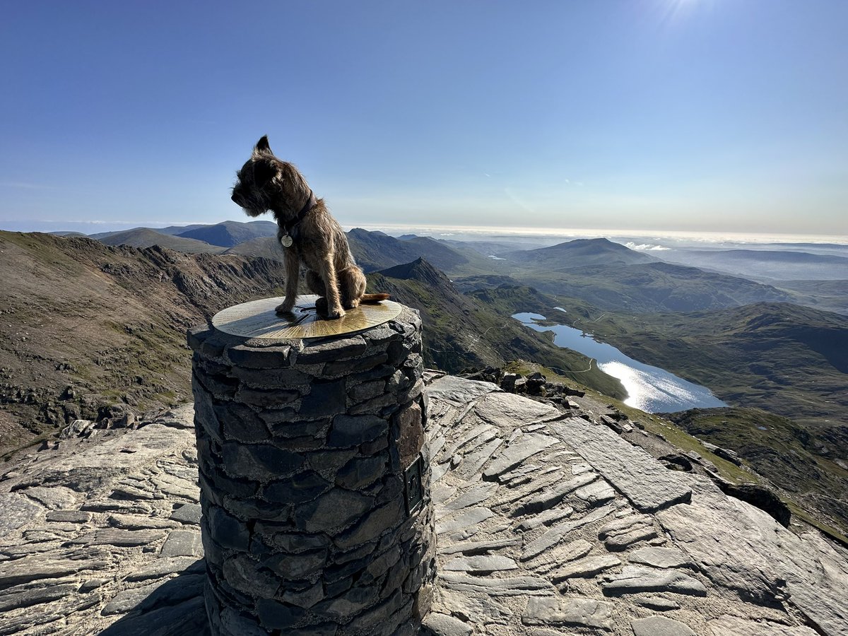 Woohoo! 😊 we are on the top of Yr Wyddfa the highest spot in Wales pals. Can’t believe we have summit to ourselves today 🏴󠁧󠁢󠁷󠁬󠁳󠁿🐾🐾 #wales #yrwyddfa