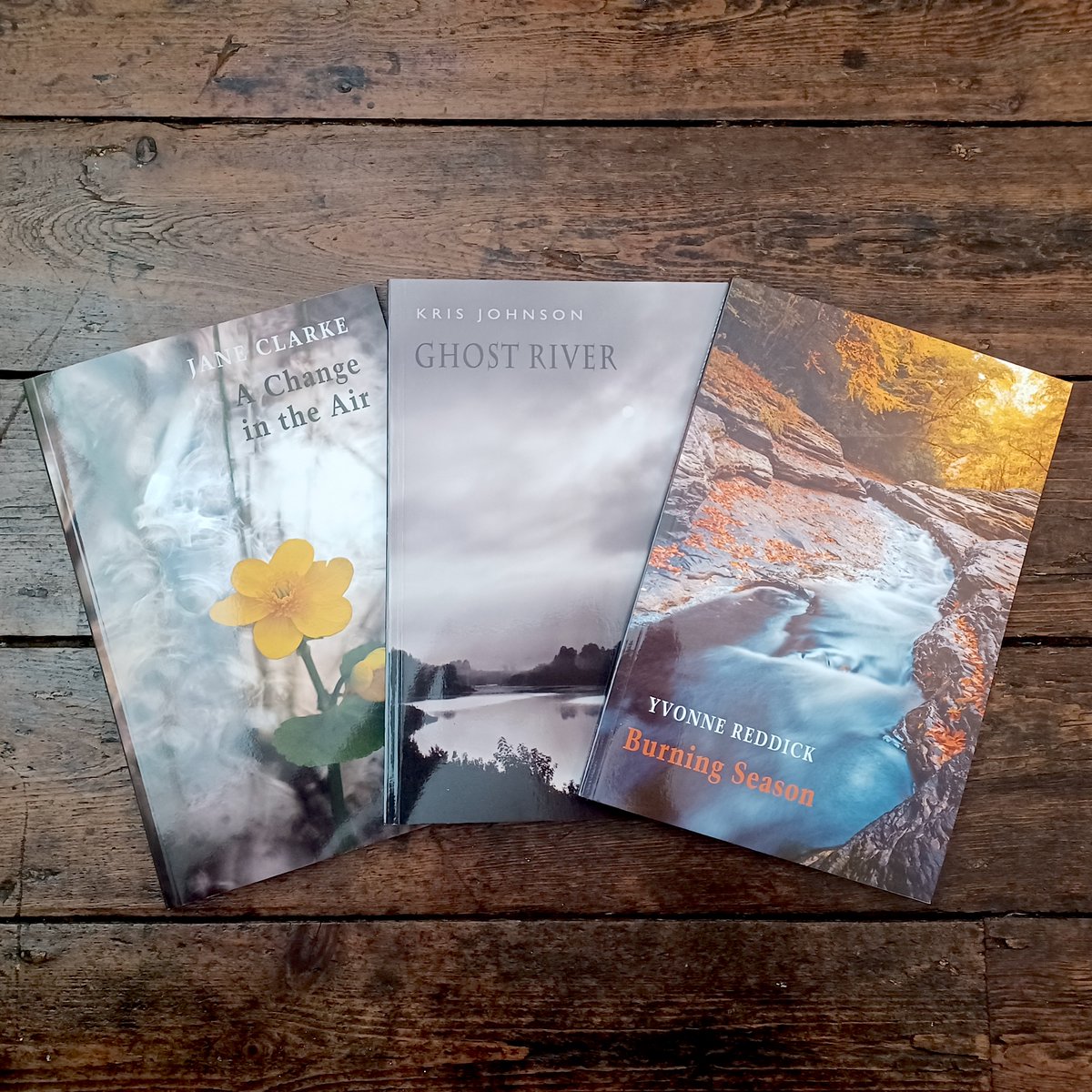 BloodaxeBooks's tweet photo. Our three May titles are published today!

Go to our website to order and find out more about #AChangeInTheAir by @jane_janeclarke, #GhostRiver by @KrisErinJohnson &amp; #BurningSeason by @YvonneReddick

https://t.co/41I1XfM4B6 https://t.co/XJDxOLnJur