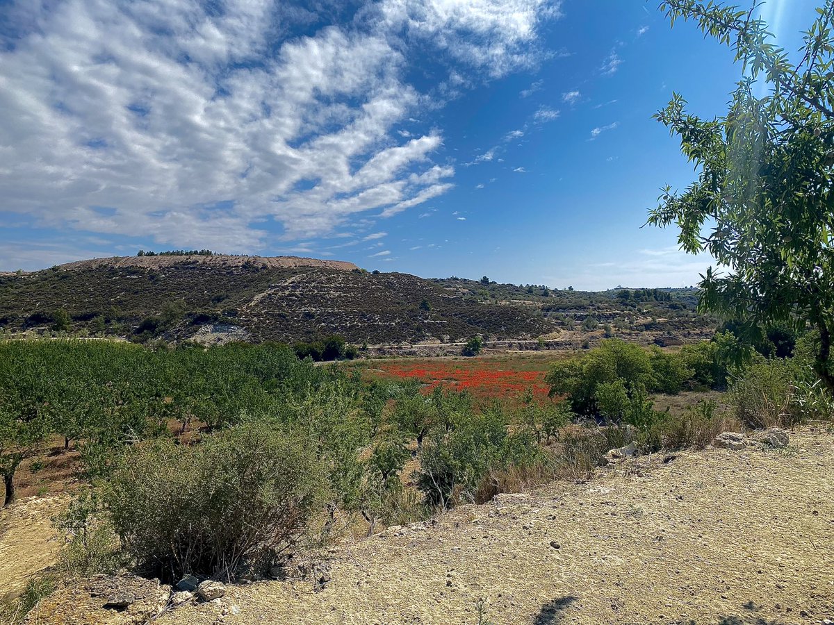 Bon dia 🌧️

#lesgarrigues #Catalunya