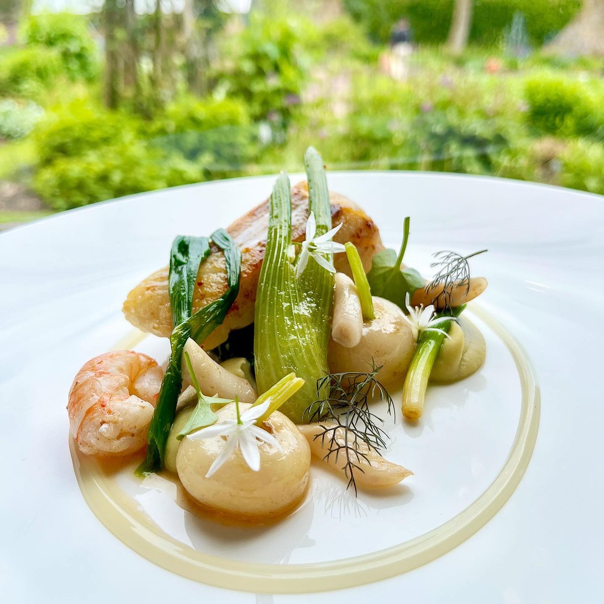 FischersBaslow's tweet photo. From garden to plate π±
Stunning, sustainably sourced Skrei Cod, fennel, lime and baby vegetables from the garden.
Now live on our menu ππ»
#NewDish #DishDevelopment #KitchenGarden #GardenToPlate #GrowingTheMenu #SustainableGastromony #HomeGrown #MichelinGuide #Derbyshire https://t.co/J3W8Dicgat