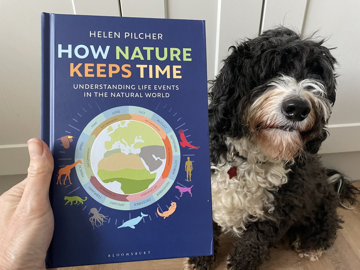 Happy Publication Day to me! New book modelled by @TheDogParticle1 Expect time related tweets to follow… @chiffchat @UniPressBooks