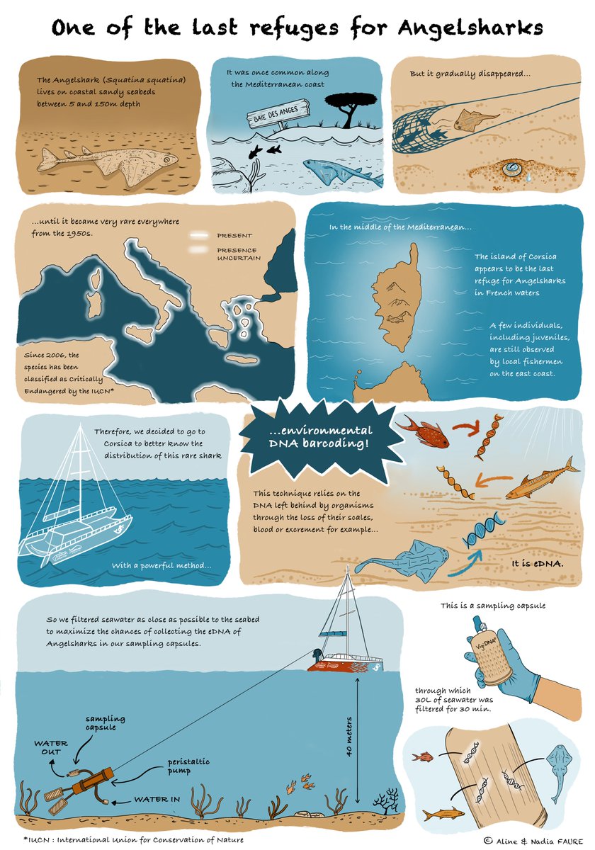 Nadia Faure tweet media