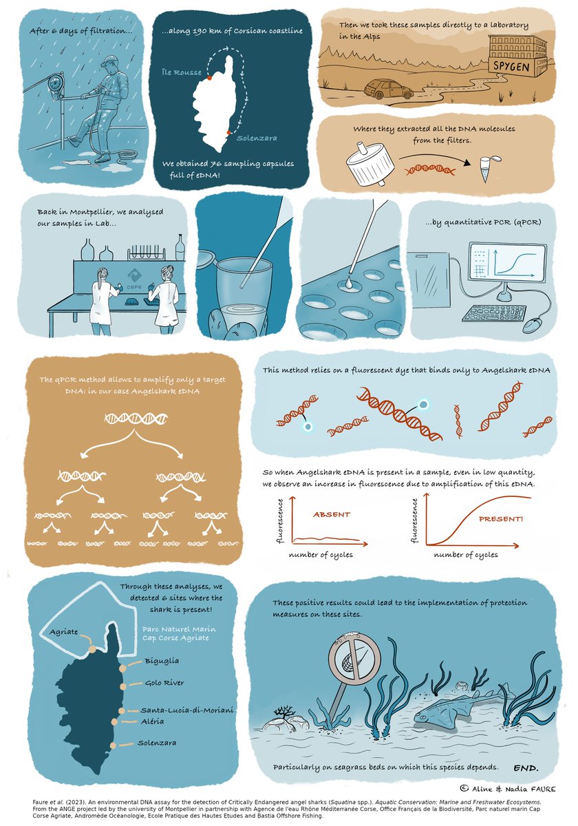 I summarized our study in this comic strip ⬇️