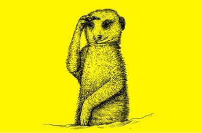 SEB @sebiology.bsky.social tweet media