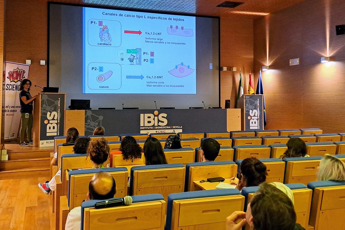 aidaplat's tweet photo. Aqui estamos en #WowScience aprendiendo sobre #EnfermedadesCardiovasculares con Debora Falcón de @cardio_ciencia en @ibis_sevilla #Aldosterona #hipertension https://t.co/FNZBEkAsC9