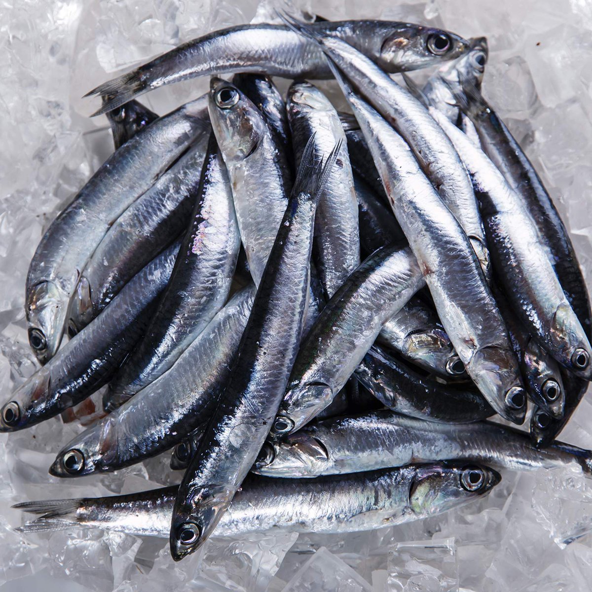 pescazull's tweet photo. 🌊 El boquerón es otra de las especies que hemos sometido a estudio. Se trata de un pescado azul con un altísimo valor proteico. Además, contienen un alto contenido en vitaminas esenciales para nuestro organismo.
#PescaAzul #DelMaralaMesa #Pesca #Acuicultura https://t.co/WCvQQLxi9C
