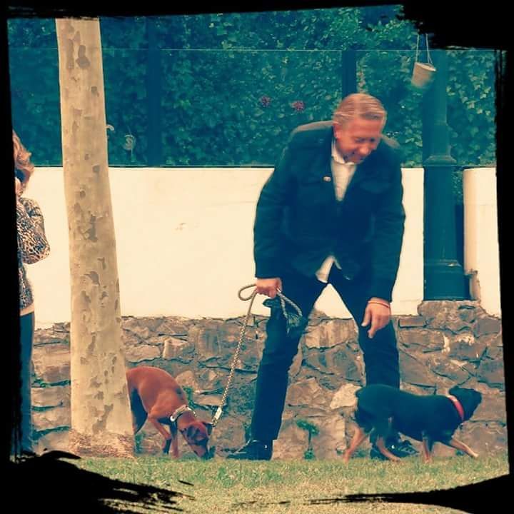 HVDKKK's tweet image. Los Polis y Pelis d EEUU.#JesusDaly:{yo] #TinaDaly #TimDaly #DeportePlus Aclaro q MY MOTHER WAS AMERICAN d ahí me viene DALY.Q vergüenza d policía.D gatillo fácil con los inocentes y lo contrario con la delincuenci@
Estamos hartos d la ñoñería d Hollywood con sus buenos poli$.