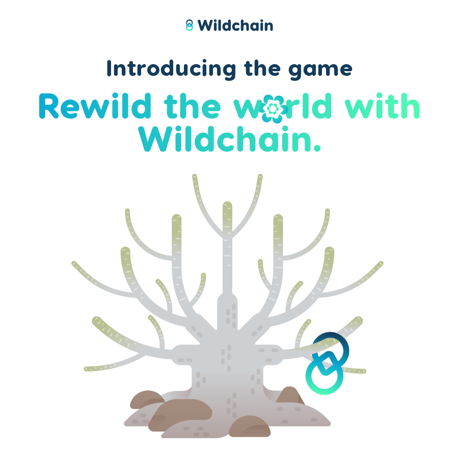 1/2 🧵

Gm & happy FriYAY Jr! ✨

#Rewild the world with Wildchain - only together can we make a long-lasting, meaningful impact 🤝 

#refi #web3gaming #web3games #web3community #NFTsforgood