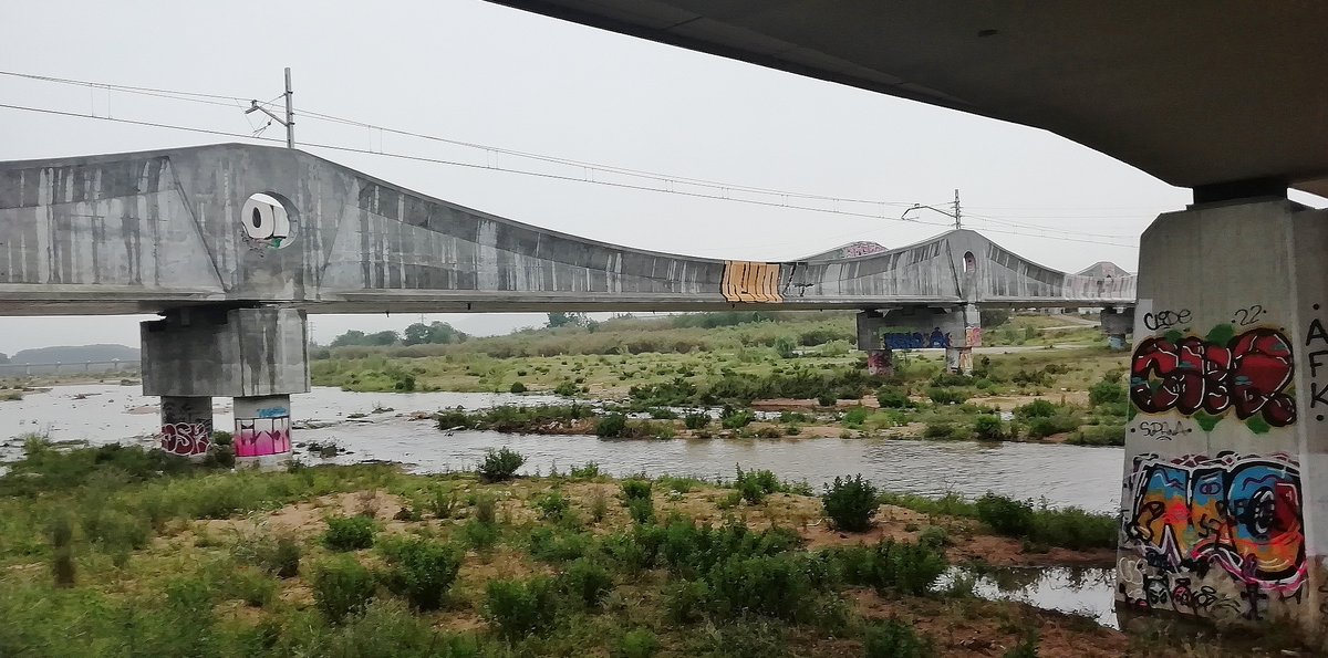 Elisabet Sans tweet media