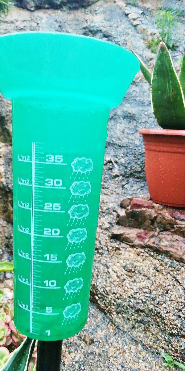 Elisabet Sans tweet media