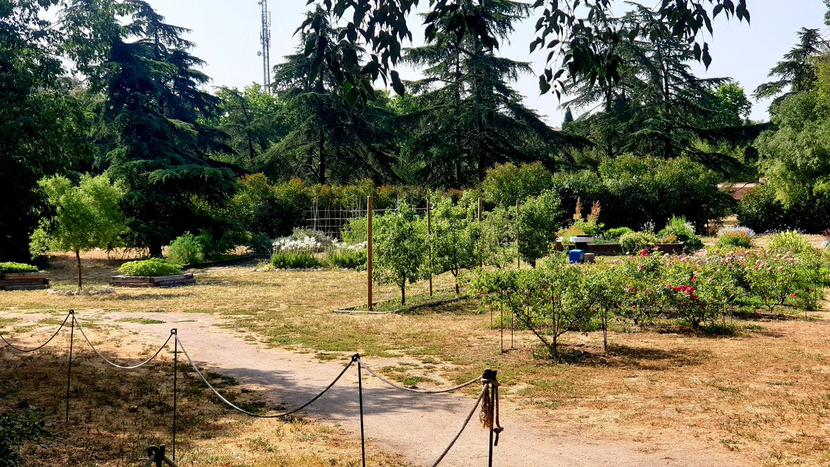 AMAE - SBC tweet media