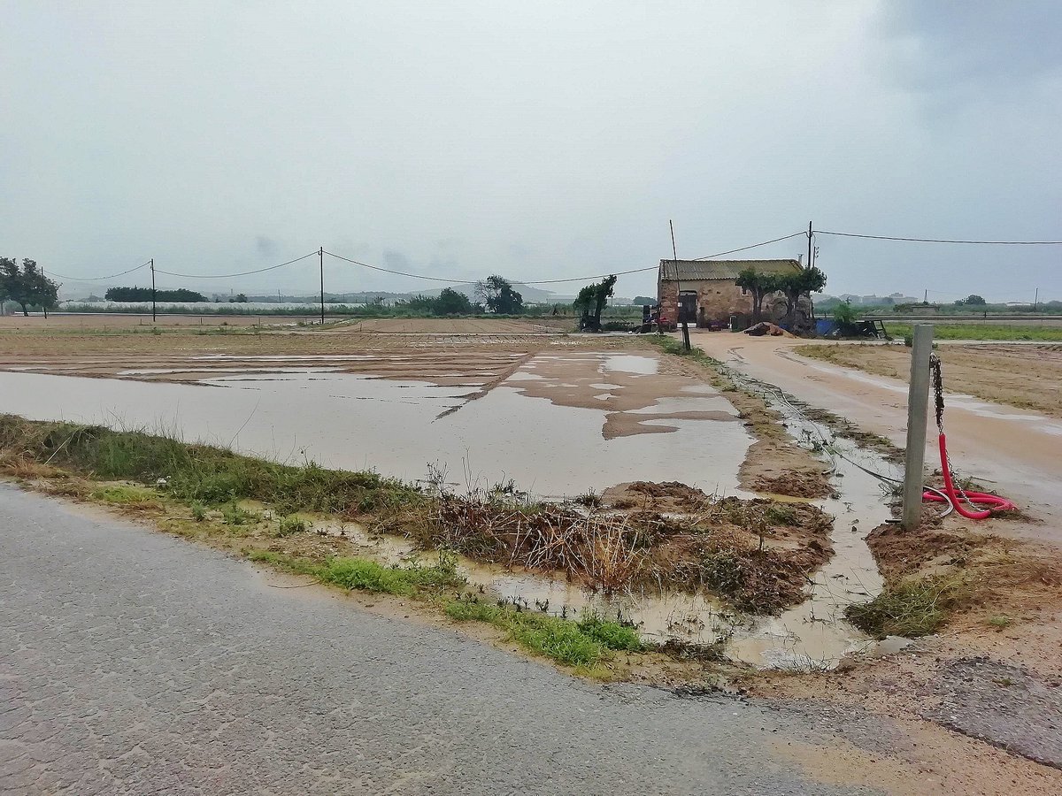 Elisabet Sans tweet media