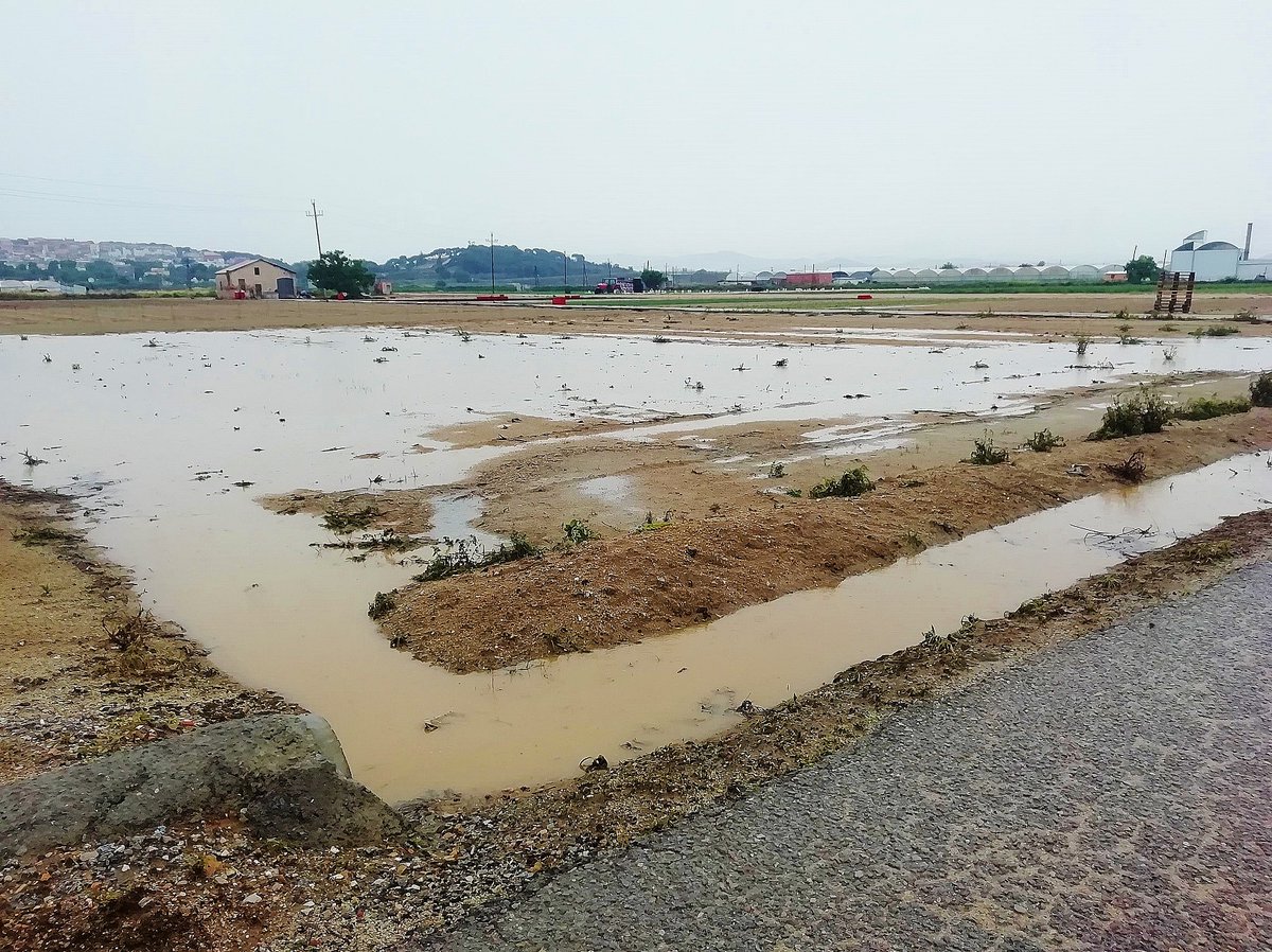Elisabet Sans tweet media