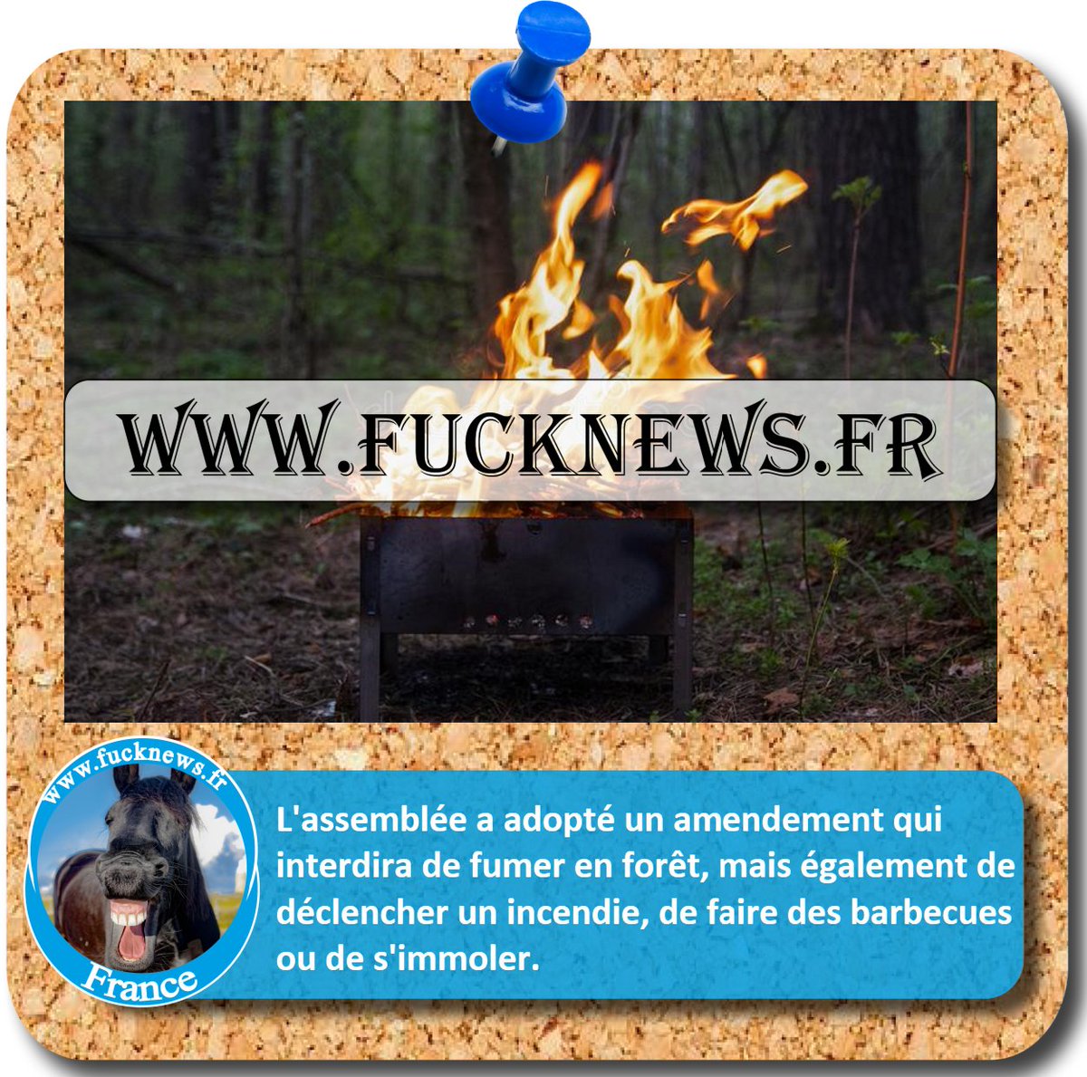 FucknewsHumour's tweet image. L&apos;#AssembleeNationale a adopté un #amendement qui interdira de #fumer en forêt, mais également de déclencher un #incendie, de faire des barbecues ou de s&apos;immoler.

Lisez l&apos;article sur bit.ly/3WvrRKl

#jeudiphoto #RN #LFI #NUPES #Renaissance #LR #PS #PC