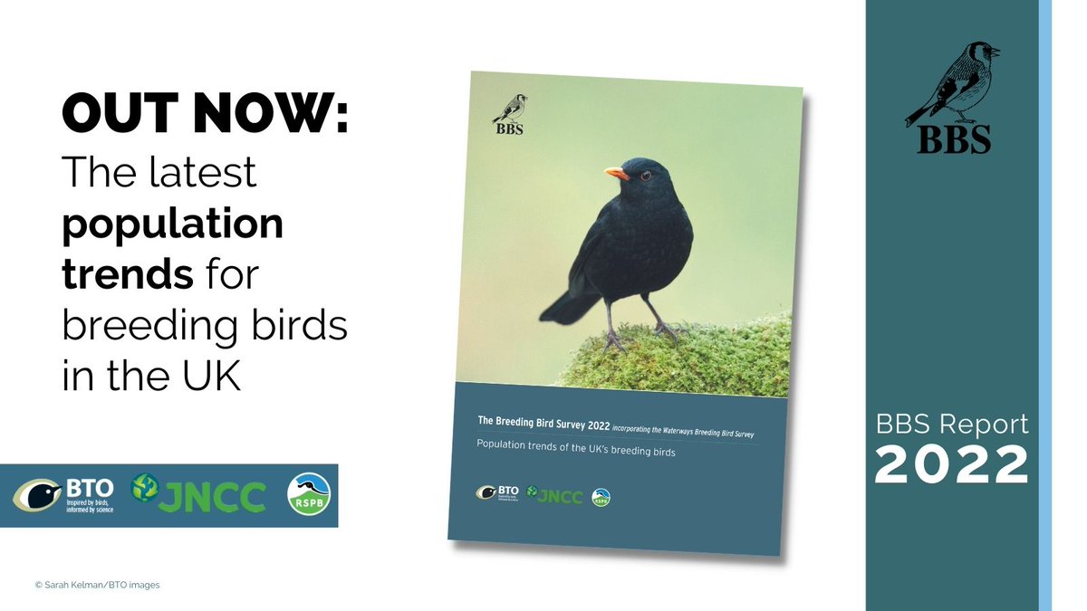 Breeding Bird Surveys tweet media