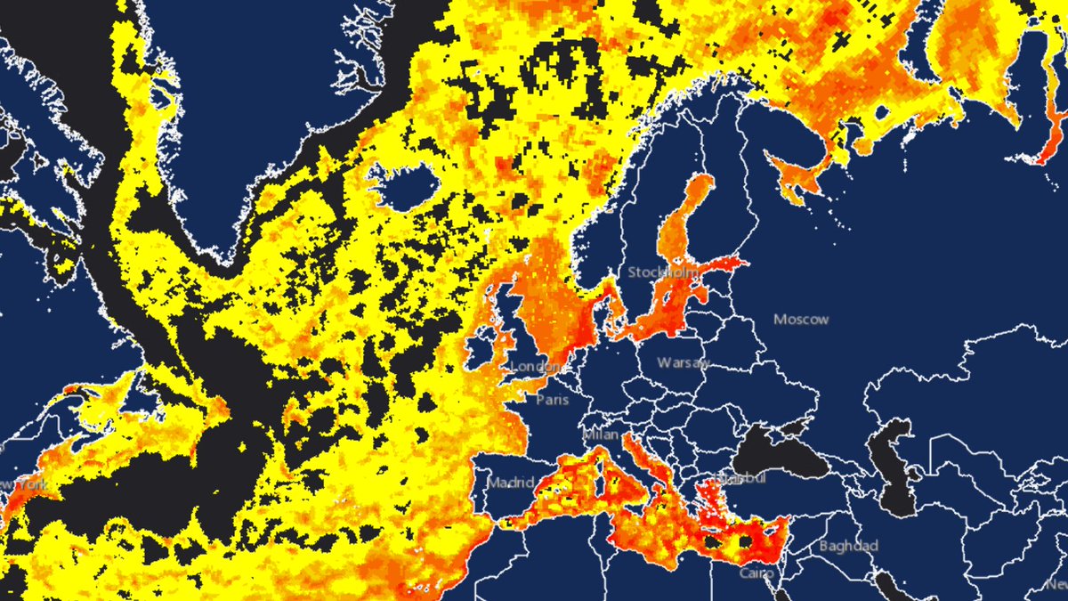 OceanaEurope's tweet photo. NEWS: Our new, unique model forecasts the pathways of floating &amp; non-floating plastic, giving unparalleled insight into the underwater pollution crisis. We urge countries to take immediate national reduction measures &amp; push for an ambitious #PlasticsTreaty
https://t.co/cowbrUz7Ry https://t.co/y856SoGezm
