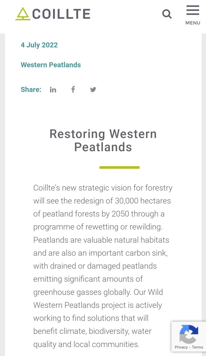 Coillte have committed to rewet 30k hectares by 2050.  79k from Bord na Mona and another 30k from Coillte EXCEEDS Ireland's agricultural target of 116k for 2050.