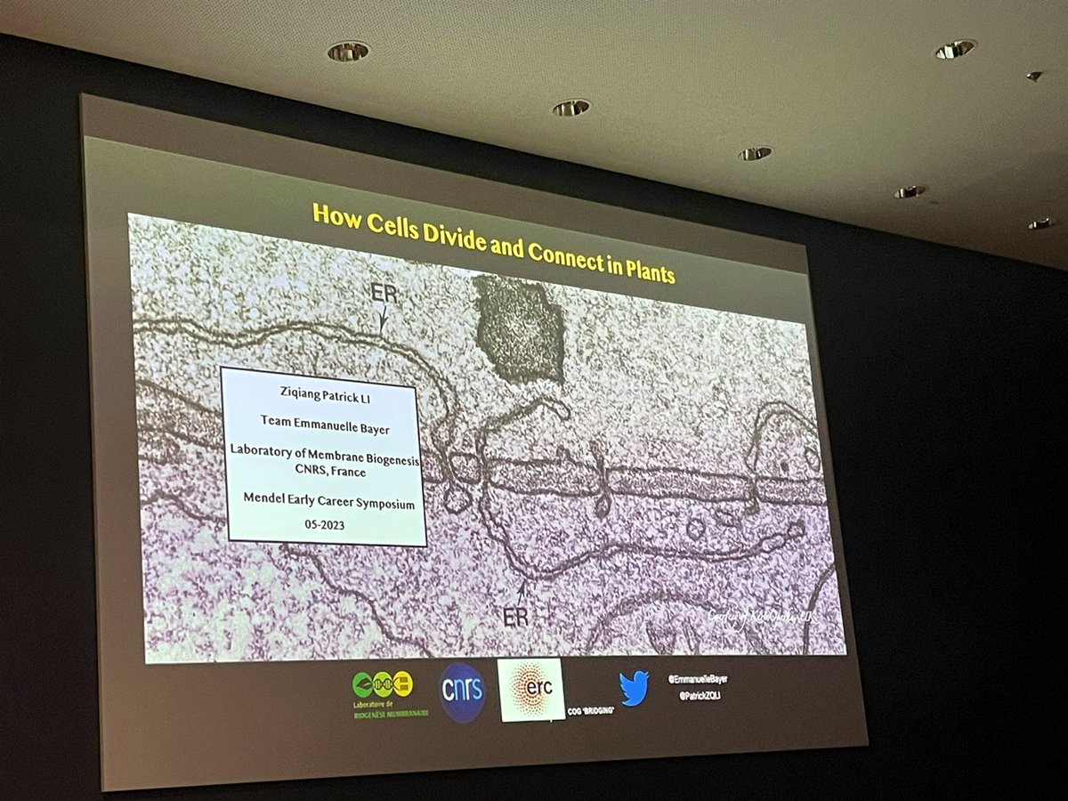 Fascinating talk by @PatrickZQLI from @EmmanuelleBayer lab on “how plants form plasmodesmata”, in other words “how plant cells communicate with each other”? #Mendel_ECR_23