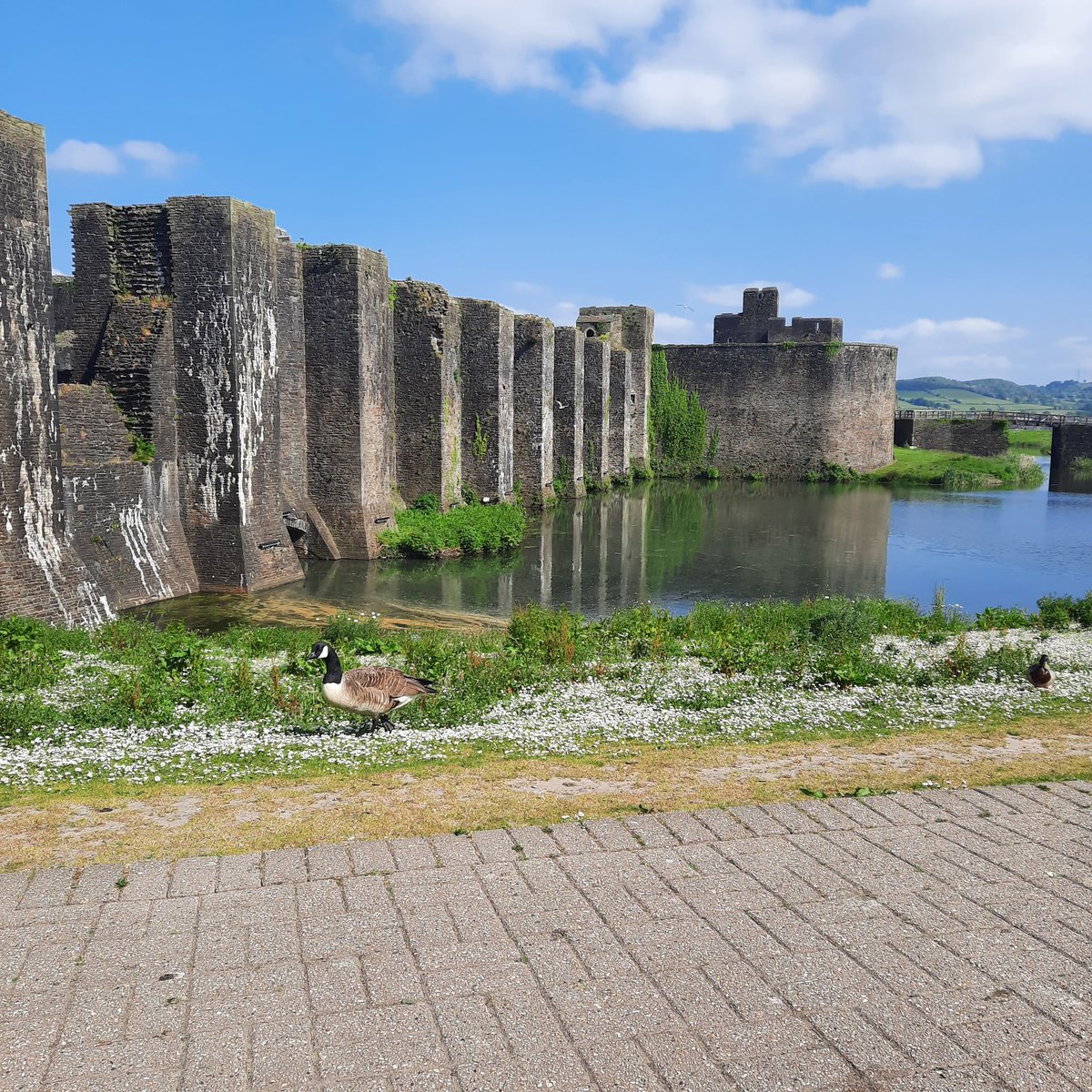 Misswissy's tweet image. Not a bad view while I have a coffee this morning #Caerphilly #castle