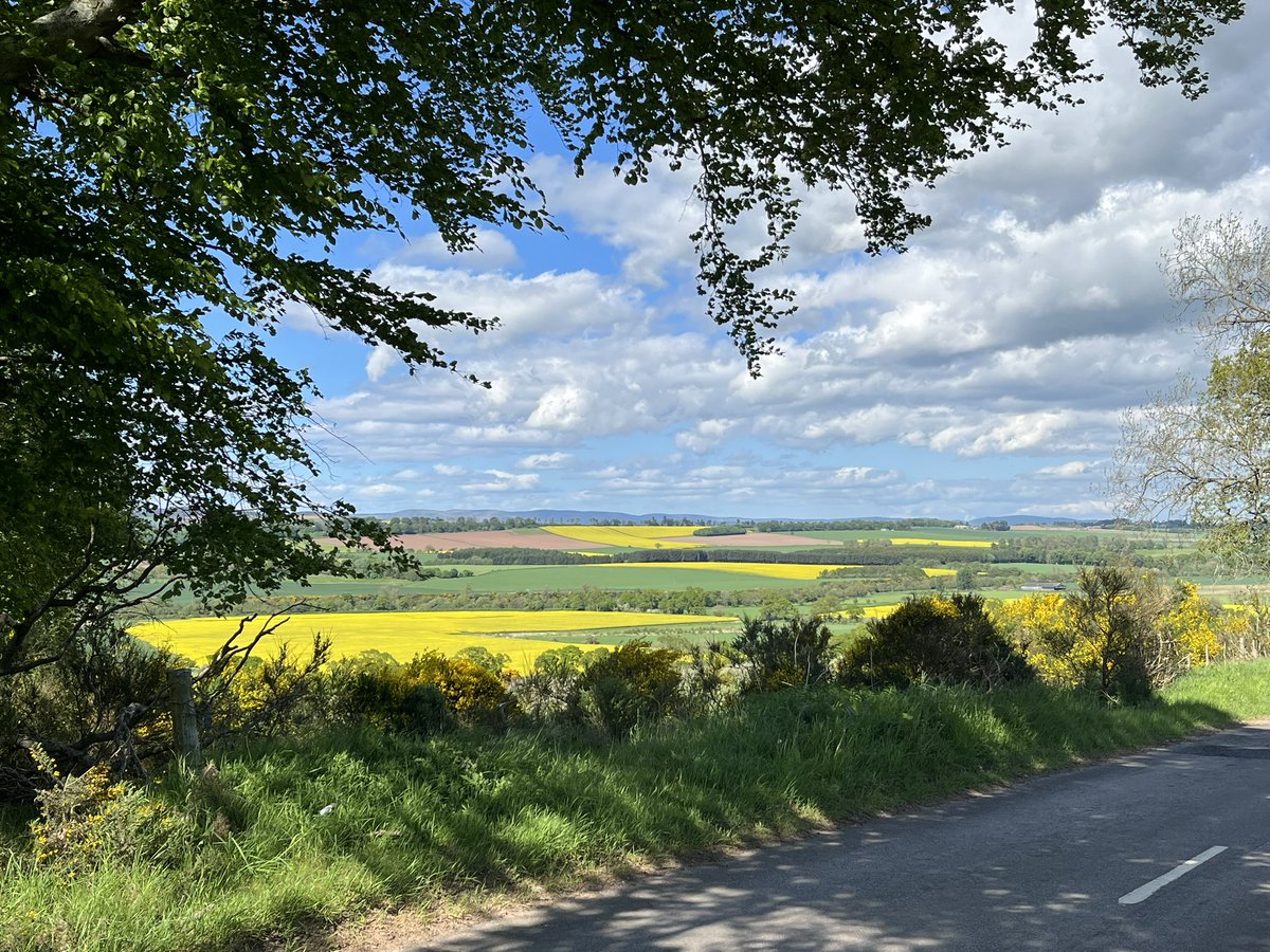 Day 11 #TGOC23 Kirriemuir to Brechin 17 miles