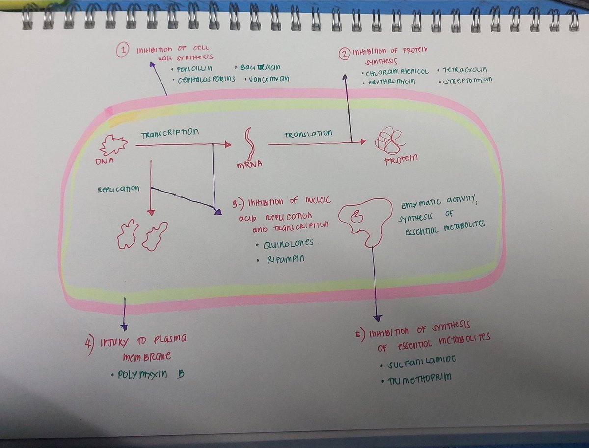 AziEcli's tweet image. Trying so hard to make it colorful. 😅😅

Antibacterial agents still confuses me. 

#OCTOBER2023PLE