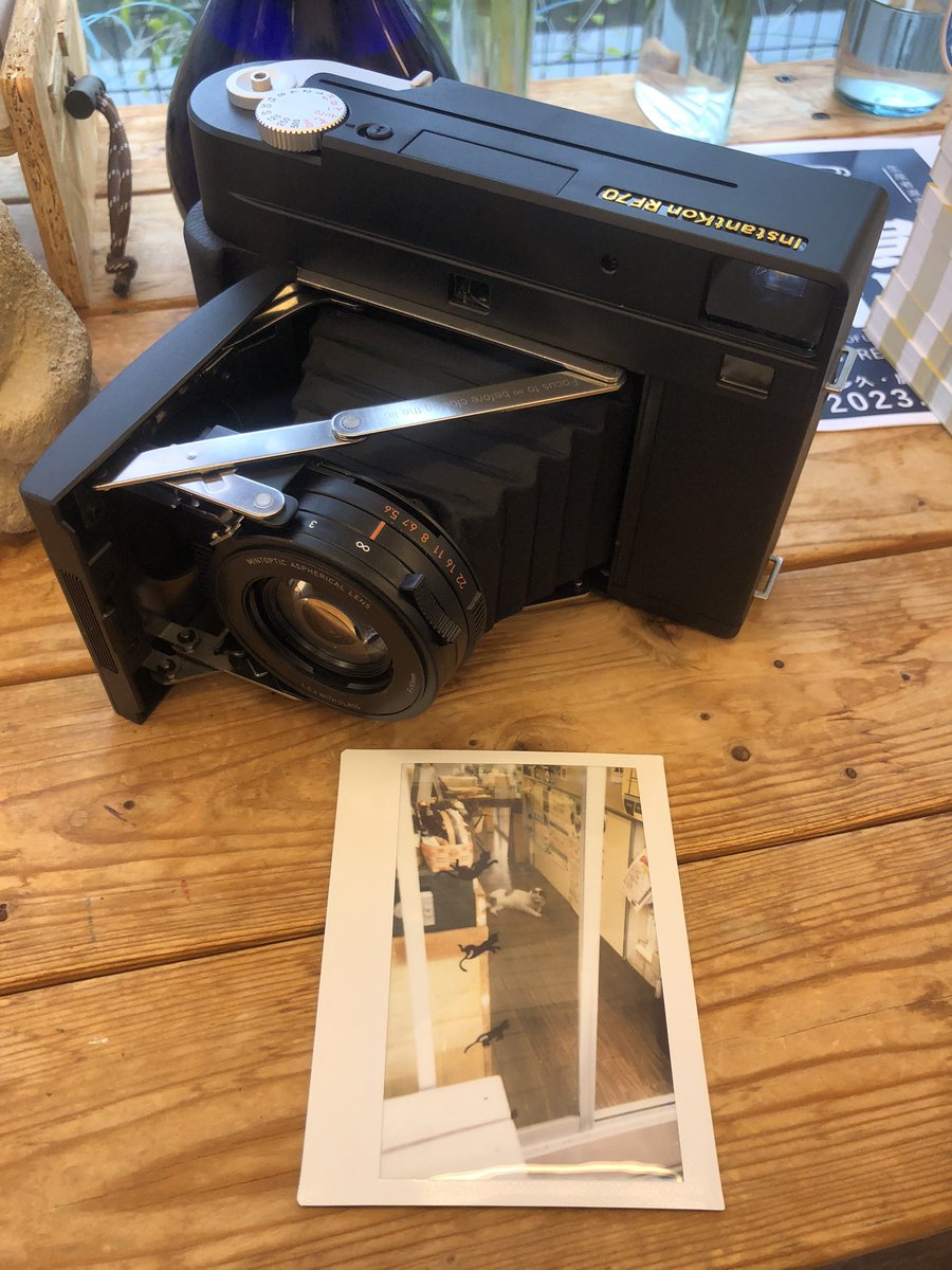 zuruo2's tweet image. キツネちゃん

 #rf70  #instakonrf70 #mintcamera