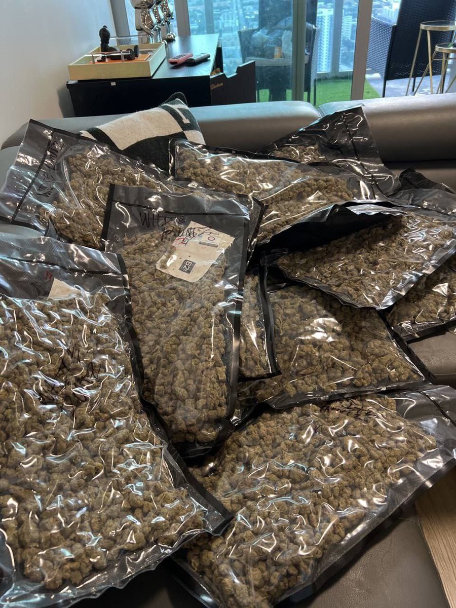 SlateTrapPlug's tweet image. WE SHIPPING