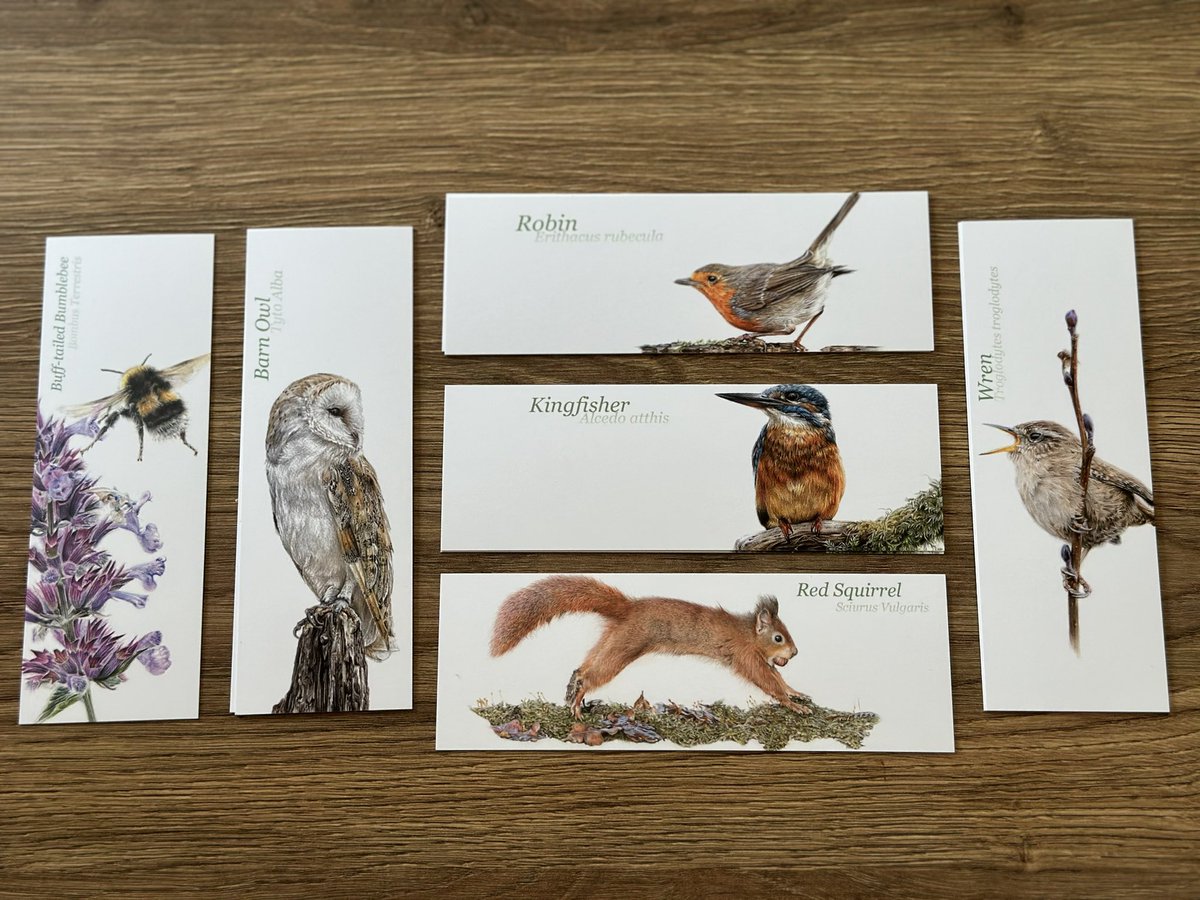 JayC1982's tweet photo. @annahamiltonart Hi Anna, I just wanted to say thank you for the absolutely beautiful bookmarks that arrived this morning! https://t.co/wPAL3DhUpz
