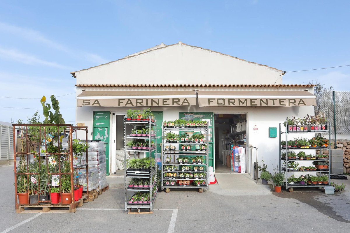 BalearicTour's tweet photo. Sa Farinera, in #Formentera, is one of the emblematic establishments of our islands. 👏🏻

ℹ️It preserves authentic heritage elements inside: the mill (still in use) and the intact conservation of the establishment, founded in 1957. 📆 https://t.co/VNRdd3Ox0d