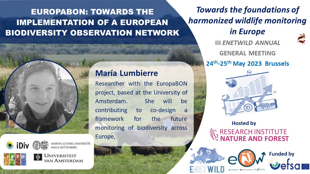 enetwild's tweet photo. What is @EuropaBon_H2020 doing? Yesterday @lumbierres talked about it at the #enetwildAGM3 and proposed to create an European Biodiversity Monitoring Centre which could integrate all EU monitoring programmes 🇪🇺🐾
#OneHealth #wildlife #monitoring
@Animals_EFSA
@INBOVlaanderen https://t.co/Hvsoe1Cc0v