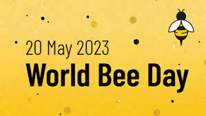 RegencyHigh's tweet photo. Pupils have been exploring about Bumble Bees in their forest school sessions this week, thinking about world bee day. Pupils have been using their creative skills, outdoors to make an Air Bee and Bee. ๐๐๐ฏ @worldbeeday #forestschoollearning https://t.co/I1Tv9YeOM2