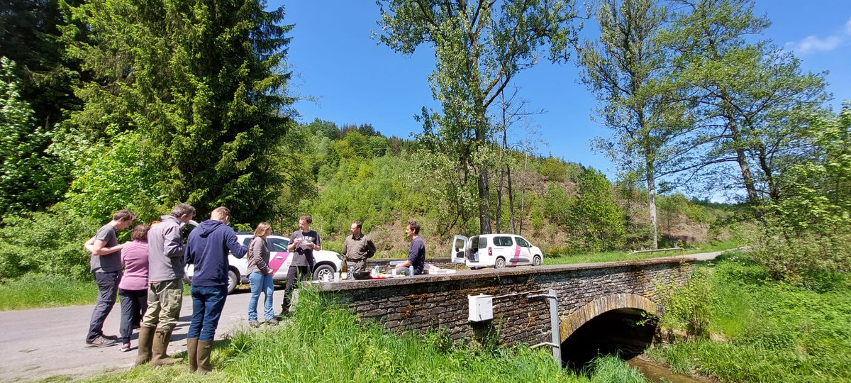 TeunEverts's tweet photo. Another succesful #eDNA sampling campaign for the detection of the Eurasian #otter is in the books. After having detected this elusive species in the #Semois in 2022, we now targeted the majistic #Ourthe. Amazing collaboration between Flanders and Wallonia! 🧬🇧🇪 https://t.co/i446Zzmzcg