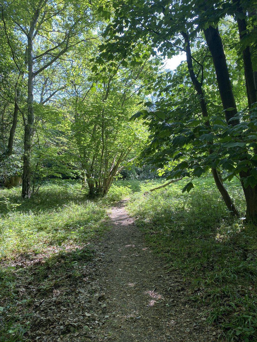 Darzi Dave tweet media