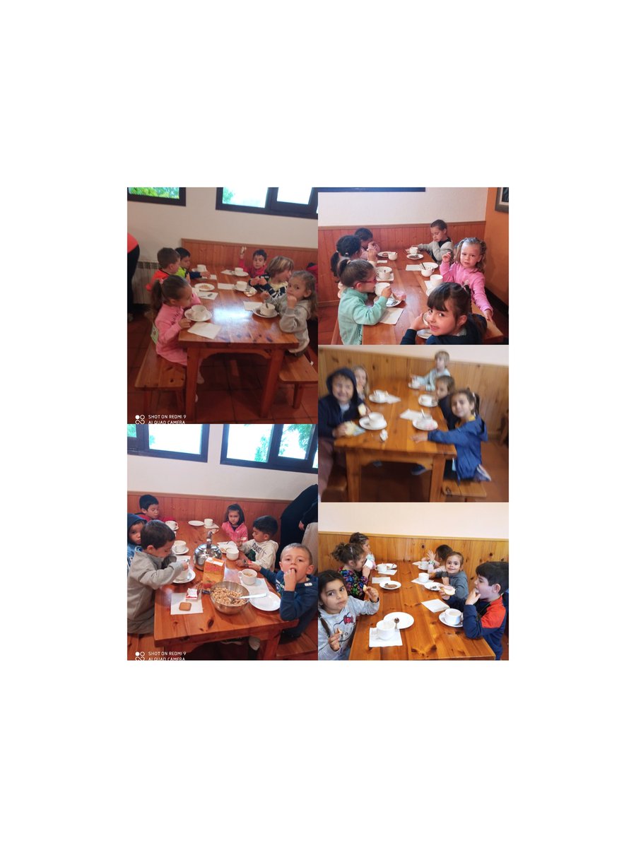 #Infantil. Colònies I3, I4: Bon dia famílies!!
Estem esmorzant i tot està boníssim
